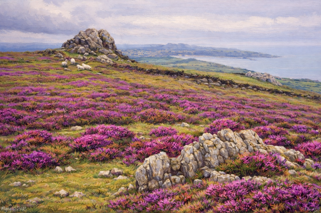 A commision artwork of Mynydd Dinas